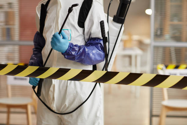 Professional Sewage Cleanup technician working in Hollister, CA
